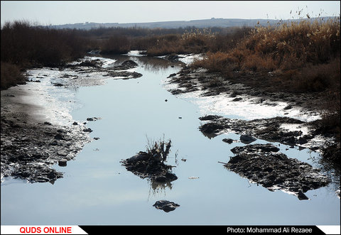 فاجعه در کشف رود؛تخلیه روزانه 400 تانکر فاضلاب در این رود تاریخی/گزارش تصویری