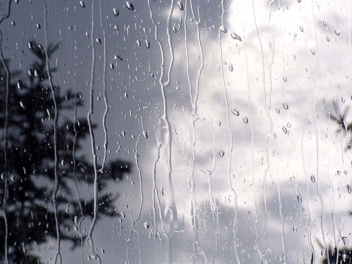 هوای قزوین بارانی می شود