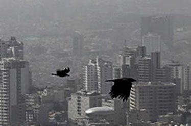تردد خودروها ۷۰ درصد عامل آلودگی هوای تبریز است