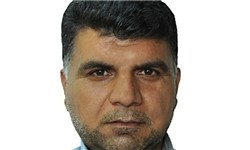 صدور ویزا برای ۲۰ هزار خادم و اعزام ۲۲۰۰ کامیون در اربعین۹۵/متبرع بودن ۷۰ درصد کارگران ایرانی در عراق