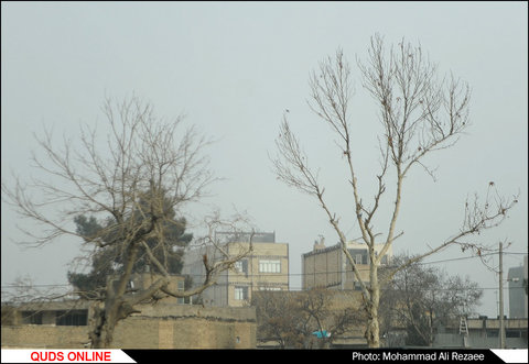 مه گرفتگی در مشهد/عکس خبری