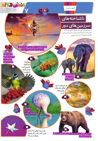 Kafshdoozak.pdf - صفحه 7