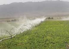 ۳۷ پروژه تولیدی و عمرانی بخش کشاورزی در استان یزد افتتاح می شود 