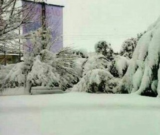 میزان بارش برف در نورآباد به ۴۵ سانتی متر می رسد