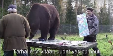 تابلوهای نقاشی کشیده شده توسط خرس دانه ای ۳۰۰ یورو فروخته می شوند