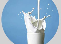 توزیع شیر رایگان در مدارس گیلان از ۱۵  بهمن آغاز می شود 