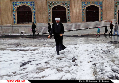 برف در حرم مطهر امام رضا(ع)/گزارش تصویری