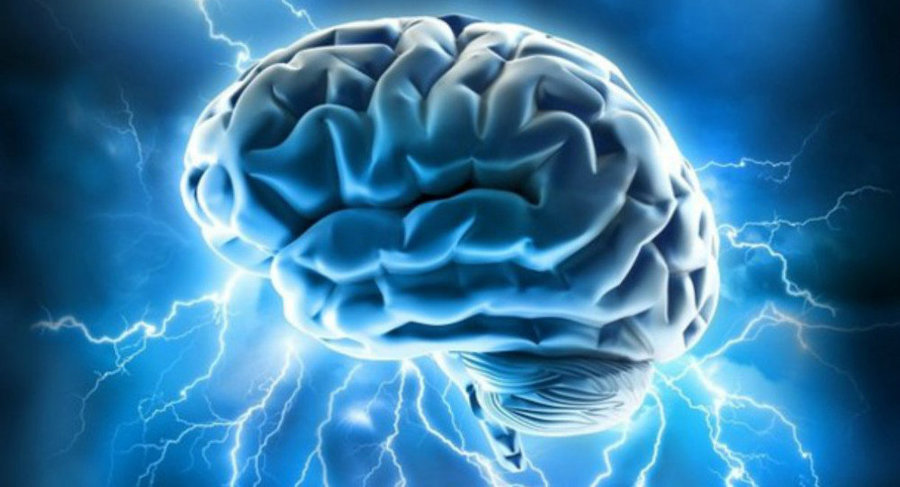 مغز انسان ساختار ۱۱ بعدی دارد
