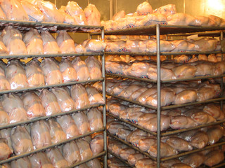 ذخیره سازی مرغ در سردخانه های استان یزد آغاز شد