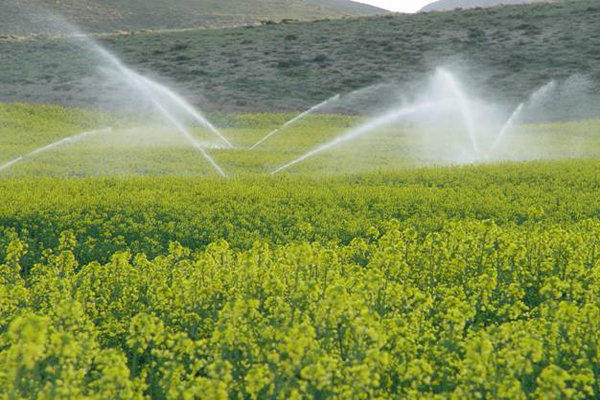 تجهیز مزارع موقوفات ملک به سامانه های آبیاری نوین و بذرهای هیبریدی