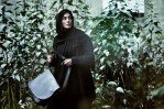 "هدیه تهرانی" در آستانه ثبت رکوردی تازه/بیشترین سیمرغ را "مجید مجیدی" به خانه برده است+ عکس