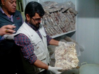 نیم تن گوشت فاسد در قزوین کشف شد