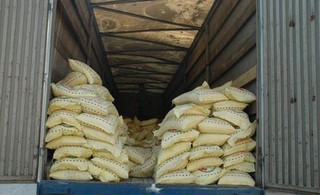 محموله ۱۱ تنی برنج قاچاق در ایلام متوقف شد