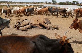 «جنگ آب» میان قبایل بومی کنیا+تصاویر