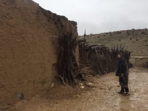 حجم بارش ها در پنج شهرستان کرمان به اندازه کل سال زراعی گذشته بوده است