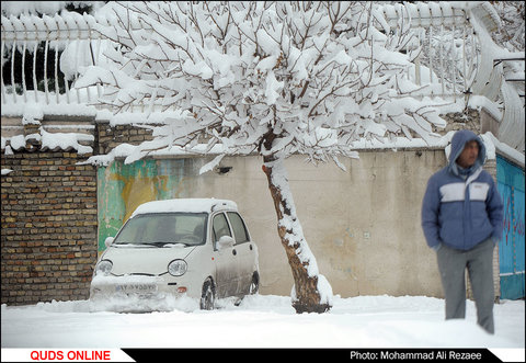 روز برفی/گزارش تصویری