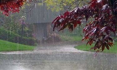 بارندگی های نرمال در بهار امسال خواهیم داشت