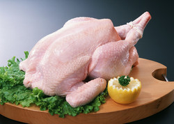 کاهش چشمگیر قیمت مرغ در  بازار محصولات پروتئینی