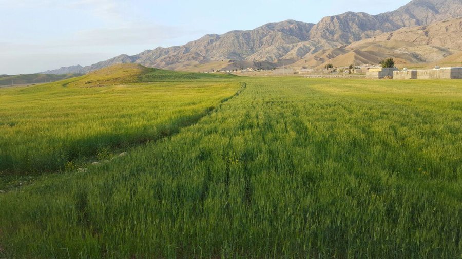 ۱۰۲ میلیارد ریال زمین مسکونی و کشاورزی رایگان تقدیم مردم خراسان شمالی شد