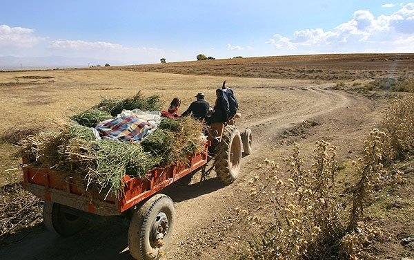 بنیاد مستضعفان از طرح های کشاورزی روستایی حمایت می کند