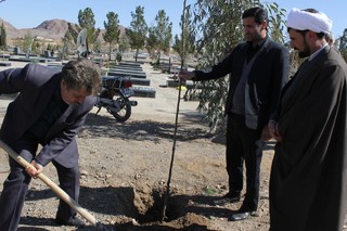  ۹۰۰  هکتار اراضی بجستان در هفته منابع طبیعی نهالکاری می شود