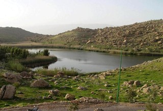 راه اندازی گروه های حفاظت از منابع طبیعی در زنجان/توزیع بذر بادام کوهی در بین طبیعت گردان