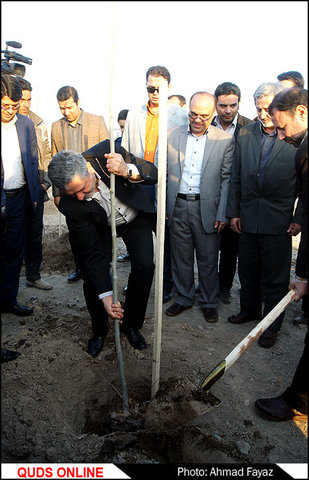 گزارش تصویری کاشت درخت در اولین باغ اسلامی ایرانی مشهد مقدس