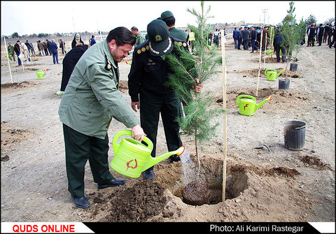 مراسم روز درختکاری در مشهد