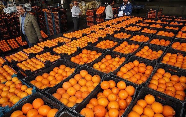 فروش پرتقال دولتی شب عید در تابستان/اوضاع بازار خوب نیست
