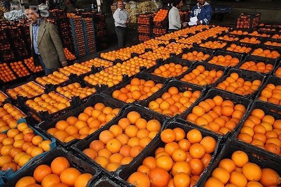 ۲۸۰۰ تن میوه تنظیم بازار توسط خراسانیها خریداری شد