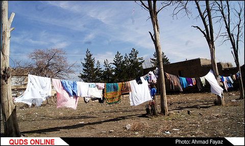 گزارش تصویری: بوی نوروز با فرش شویی و لباسشویی در محلات