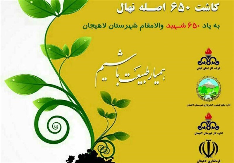 ۶۵۰ اصله نهال به یاد شهدای شهرستان لاهیجان کاشته می‌شود