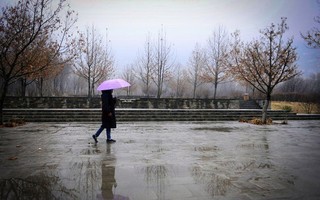 ادامه بارش باران بهاری در ۱۱ استان کشور