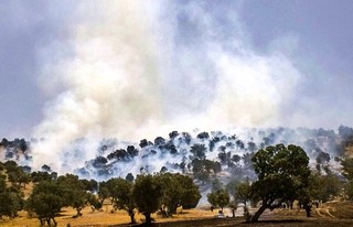 آتش سوزی جنگل های مرزی خوزستان و کهگیلویه و بویر احمد مهار شد