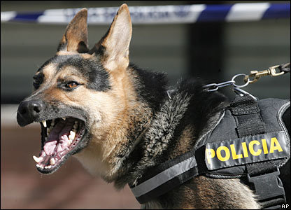 تصاویر/ حمله سگ پلیس هلند به شهروند ترک‌تبار
