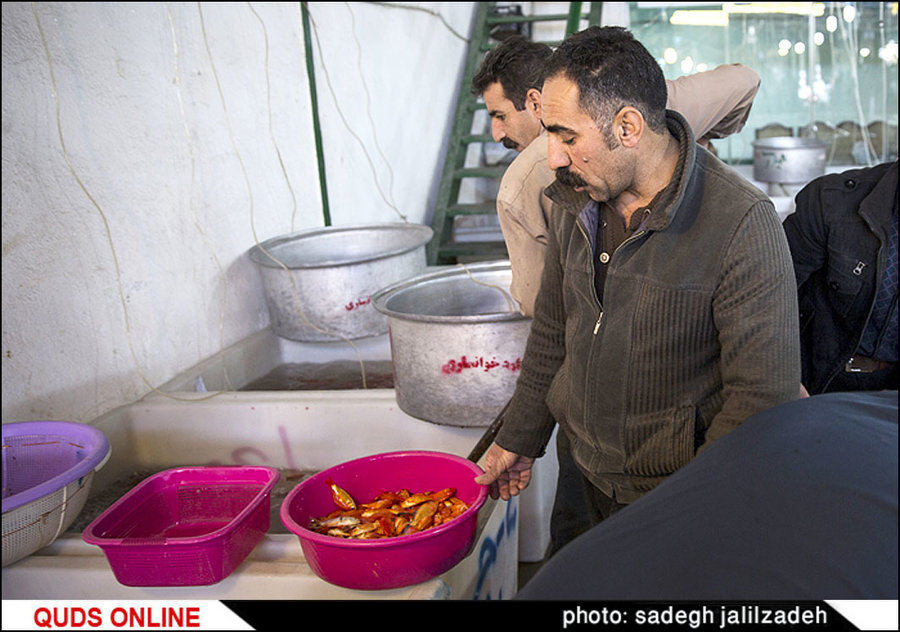 مراکز فروش کلی ماهی قرمز در تهران/ گزارش تصویری