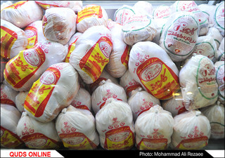 عدم درج قیمت عمده تخلف فروشندگان مرغ و ماهی در کرج