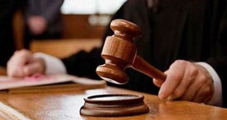 یک متهم به کاشت ۶۰۰ اصله نهال در کرج محکوم شد