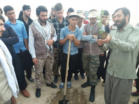 بسیجیان ایلامی در بیابانهای خوزستان نهال کاشتند