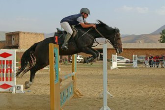 قطب فعال  پرورش اسب ایران ازکمبود باشگاه‌های سوارکاری رنج می برد