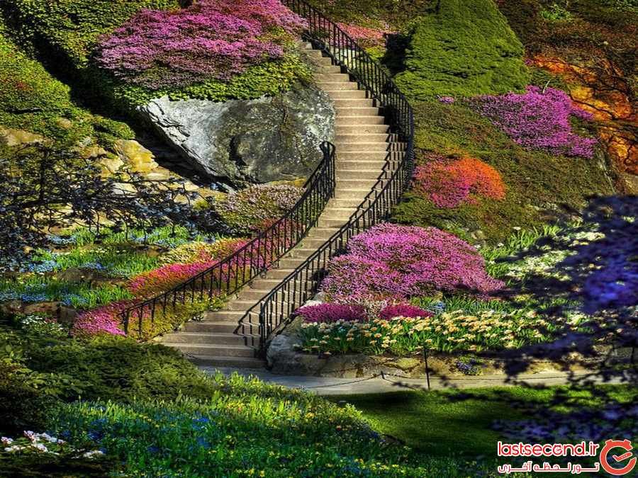 باغ گل‌های تبریز با پیش‌بینی کاشت ۳۰۰ گونه مقاوم و زیبا احداث می‌شود