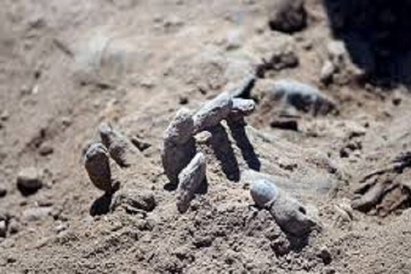 کشف ۳۱ گور دسته‌جمعی در سنجار/بیش از ۱۶۰۰ جسد از ایزدیها پیدا شد