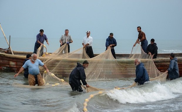 رشد ۴۳ درصدی صید فانوس ماهیان در هرمزگان