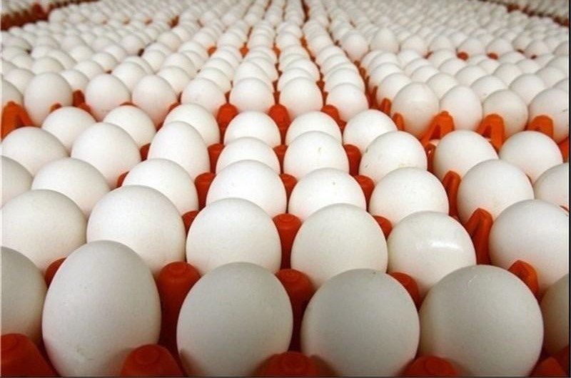 واردات ۲۰ هزار تن تخم مرغ برای تنظیم بازار
