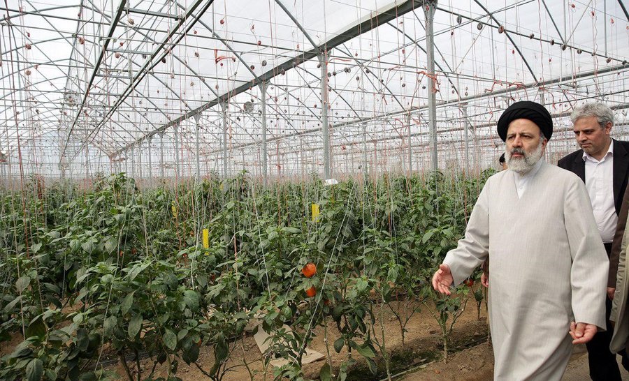 ایران می‌تواند به یکی از قطب‌های قدرتمند کشاورزی منطقه مبدل شود