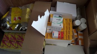 ۱۲ قلم داروی دامپزشکی در شهرستان لردگان کشف و ضبط شد