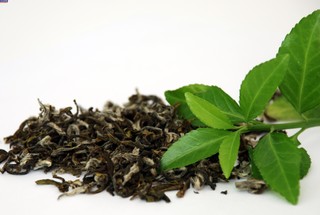 ۳۰۰۰تن چای به فروش نرفته در کارخانه‌های چای خاک می خورد