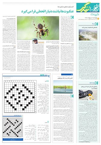 zendegi.pdf - صفحه 8