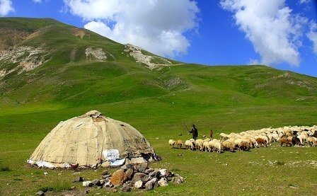 ۶۴۰۰ خانوار عشایر با حدود یک میلیون واحد دامی از مراتع ییلاقی استان اصفهان بهره مند می شوند