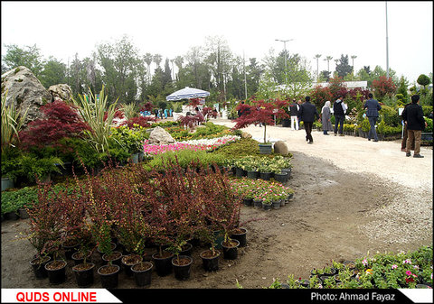 گزارش تصویری اولین نمایشگاه بین المللی گل و گیاه رامسر